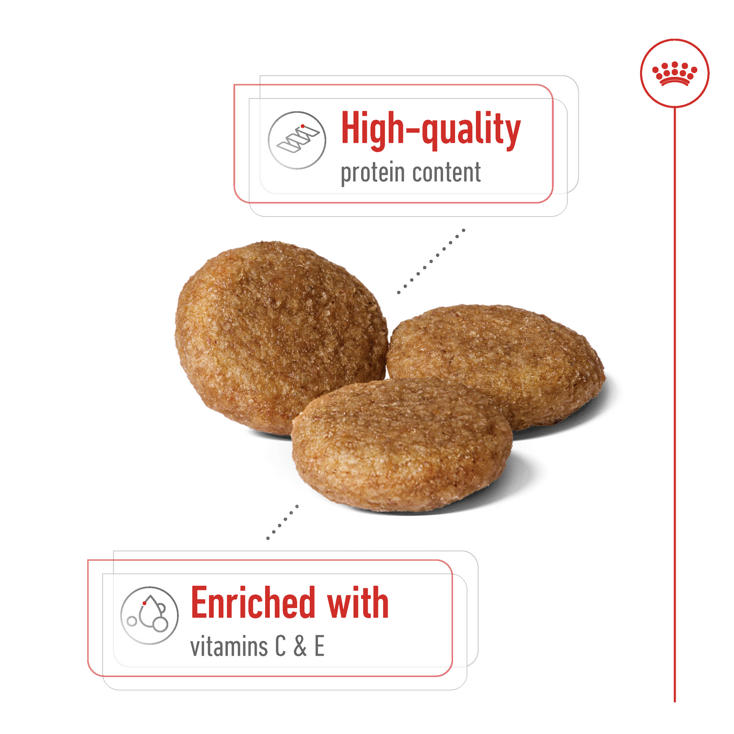 Royal Canin Size Health Medium Adult Dog Food 4KG