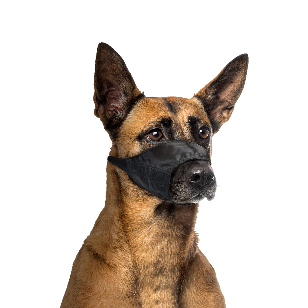 Duvo+ Nylon Dog Muzzle – Adjustable