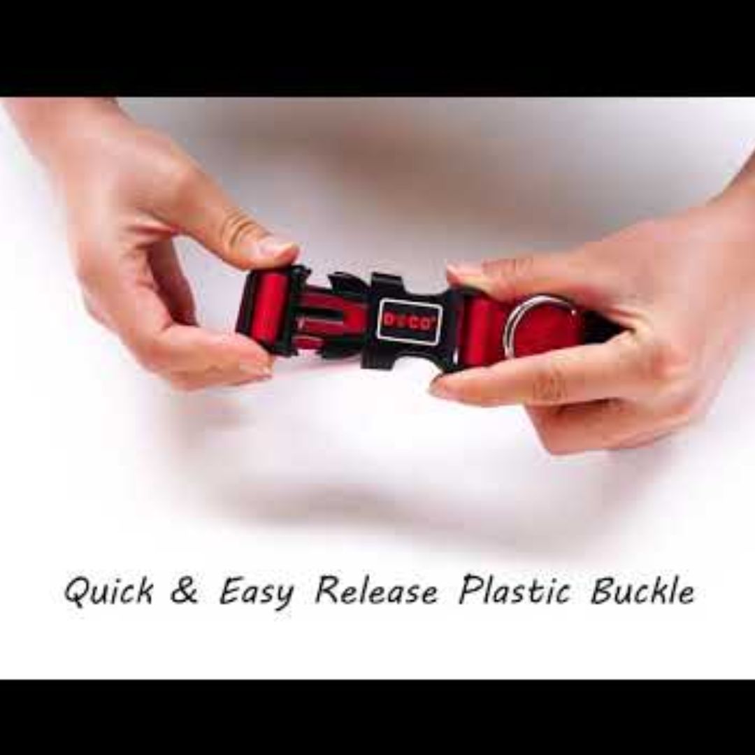 Doco Signature Nylon Dog Collar