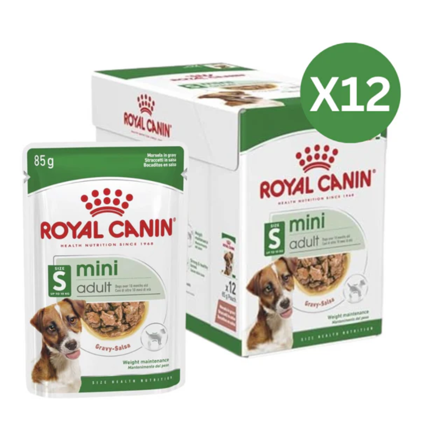 Royal Canin mini adult dog food packaging with a box of 12 packs on a white background
