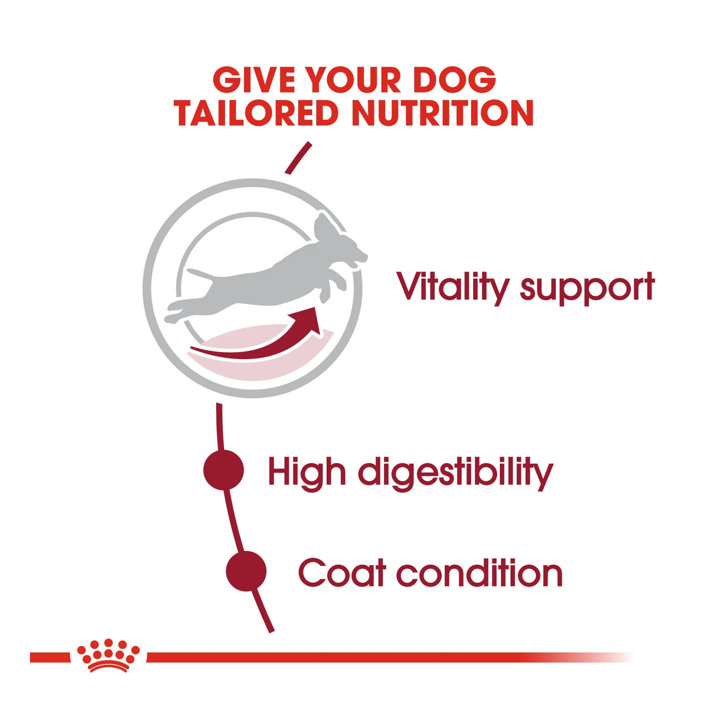 Dog food product with text on tailored nutrition for dogs, including vitality support, high digestibility, and coat condition.
