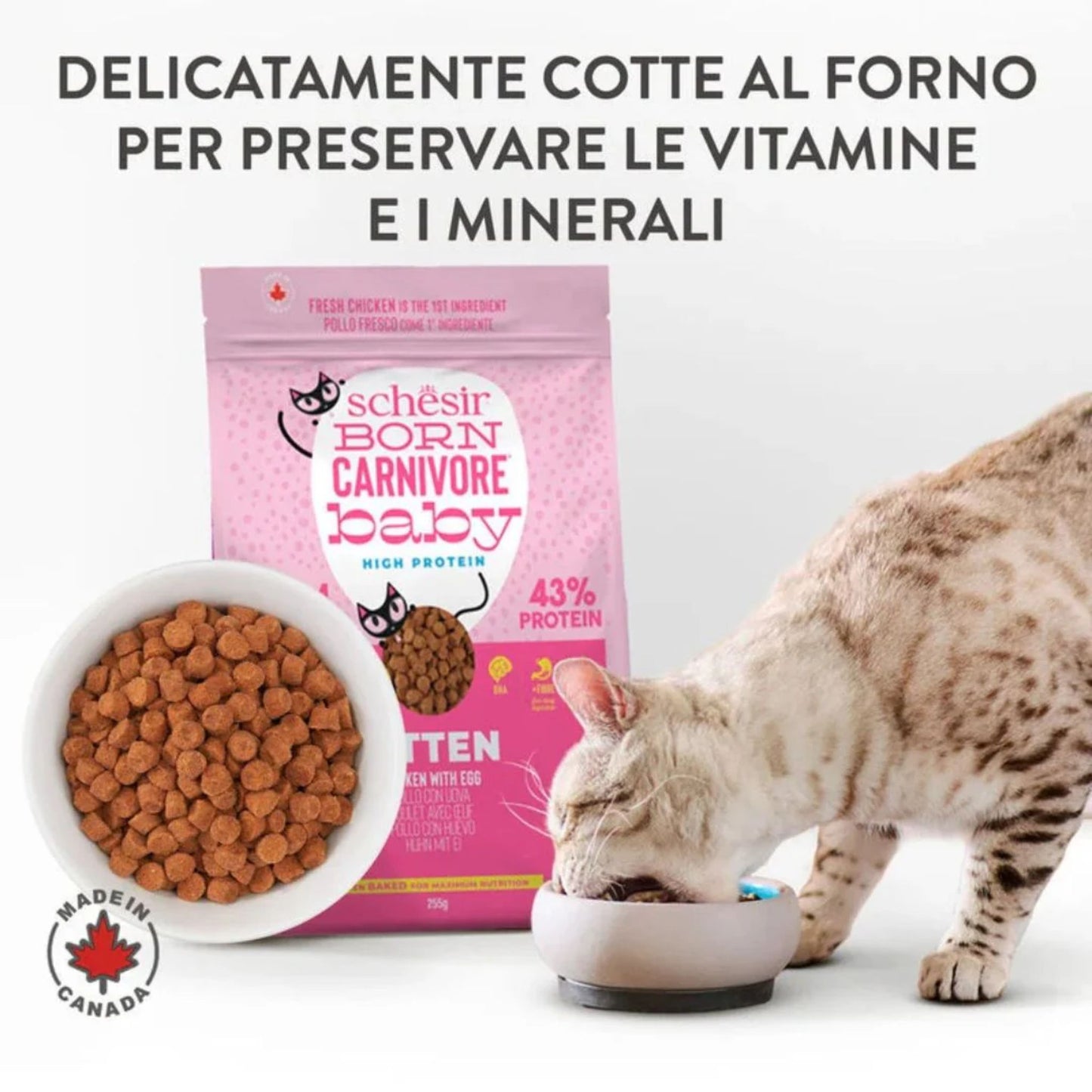 Schesir Born Carnivore Kitten Chicken & Egg Dry Food - 1.25kg