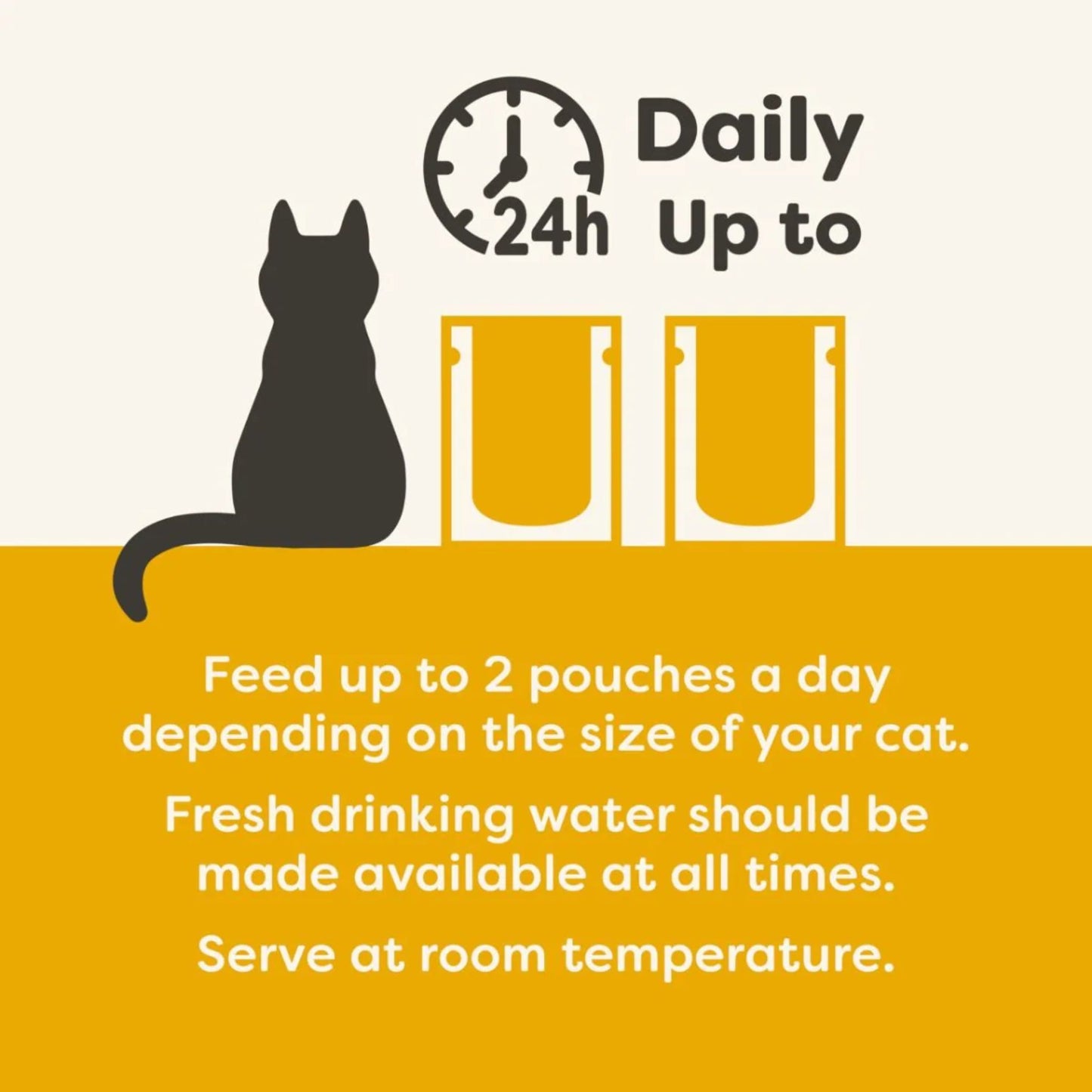 Cat sitting on a surface with text about feeding and water availability, featuring a clock icon.