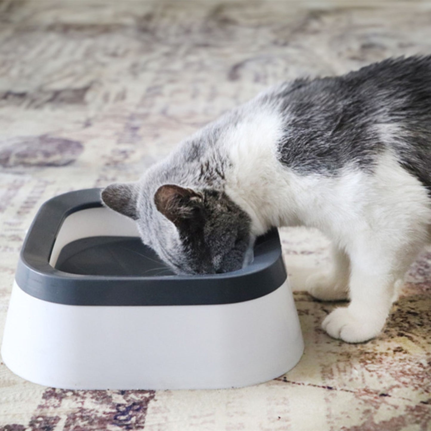 Cat drinking from a grey and black elevated pet water bowl on a patterned rug.