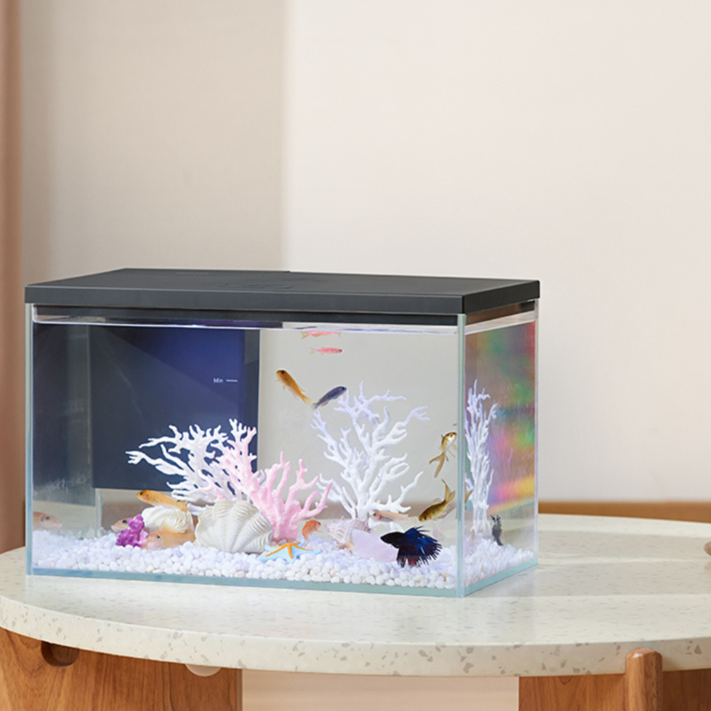 Pawgether  Aquarium - 450x250x325mm