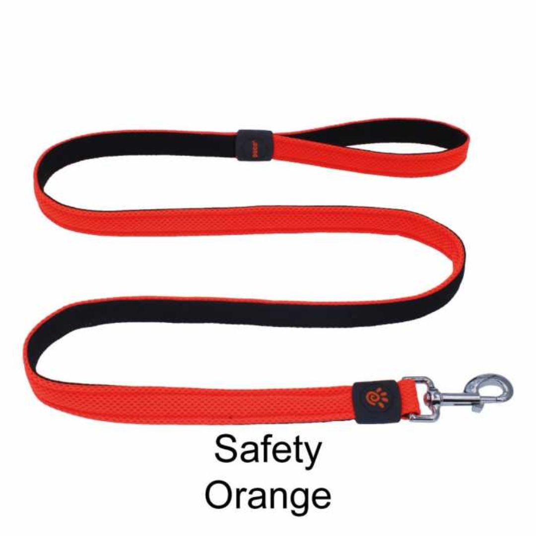 Doco Jelly Bean Dog Leash - 6Ft