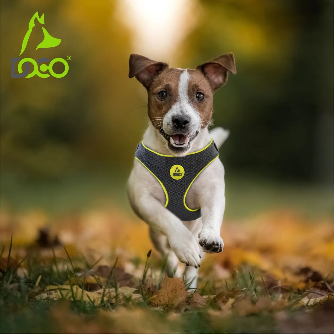 Doco Reflective Chest Plate Mesh Dog Walking Harness