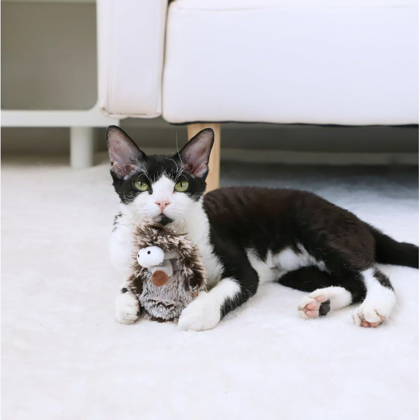 Cat playing with a plush toy on a light-colored floor.
