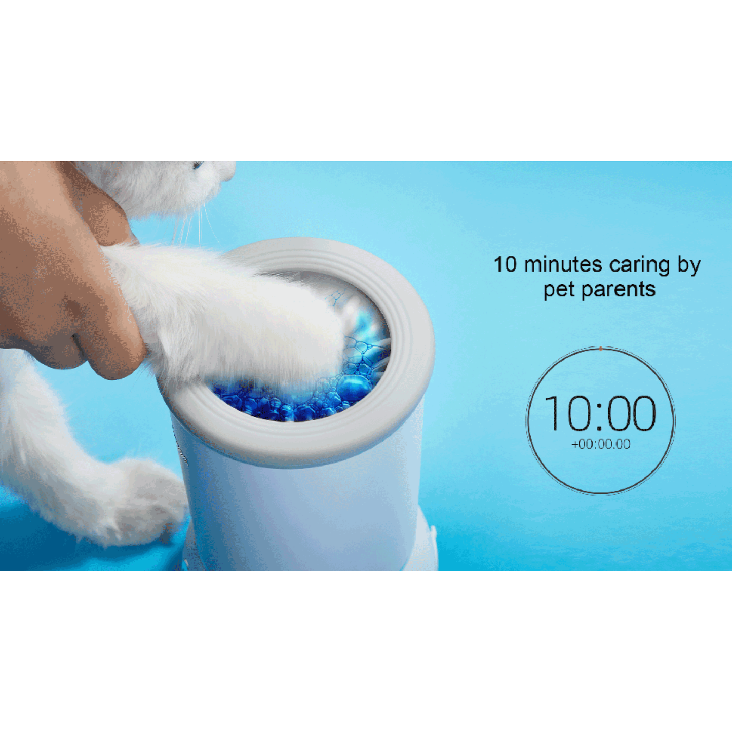 Cat using a self-cleaning pet toy with a timer display on a blue background