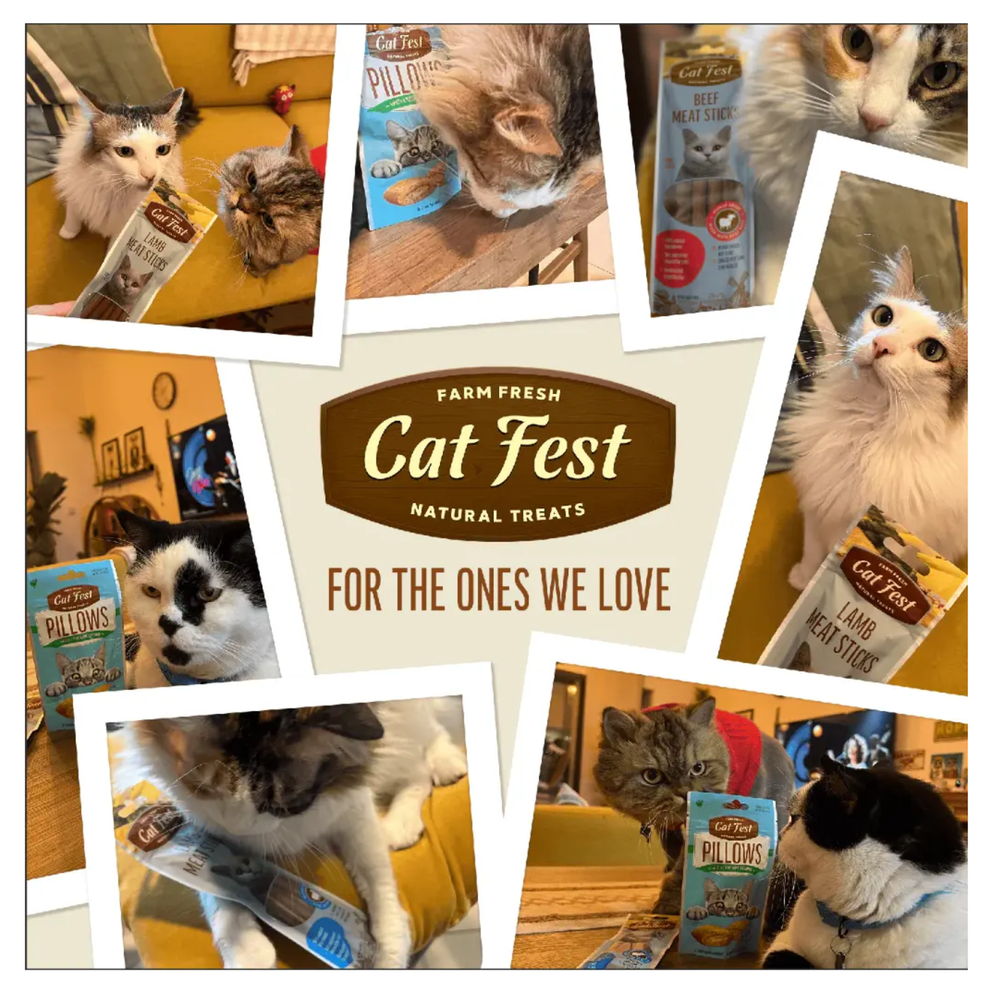 Cat Fest Pillows With Shrimp Cream Savory Cat Treats – 30g