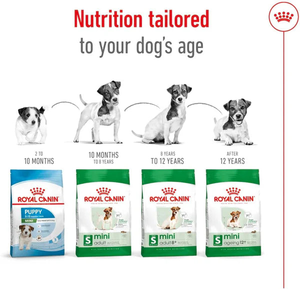Royal Canin Size Health Mini Adult Dog Dry Food - 800g