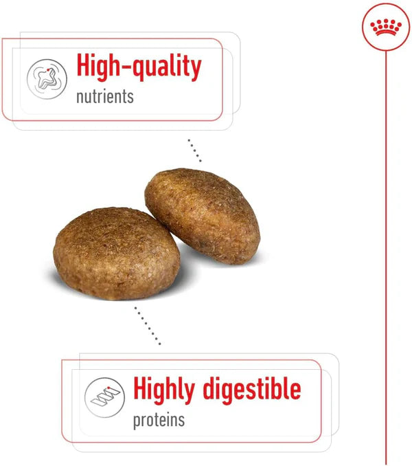 Royal Canin Maxi Adult Healthy Dry Dog Food