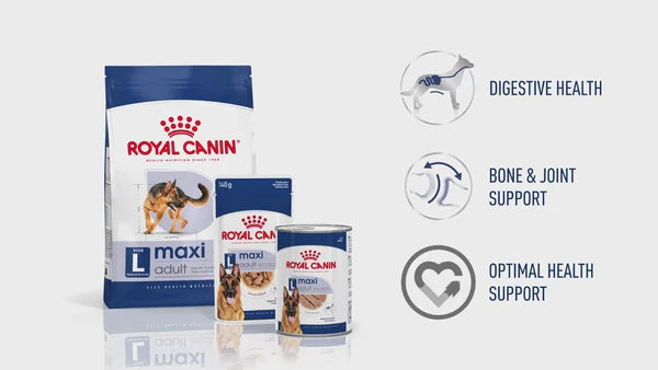 Royal Canin Maxi Adult Healthy Dry Dog Food