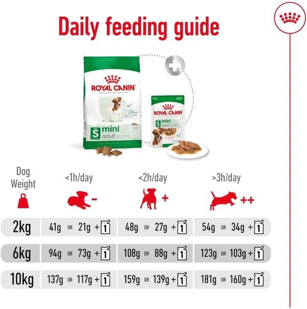 Royal Canin Size Health Mini Adult Dog Dry Food - 800g