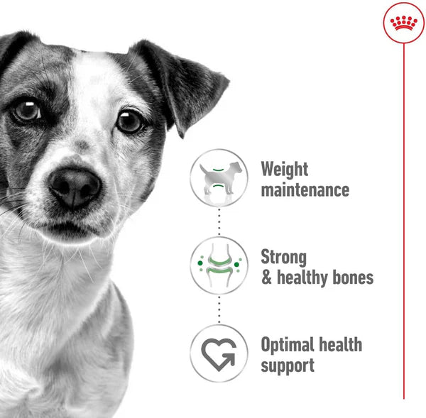 Royal Canin Size Health Mini Adult Dog Dry Food - 800g