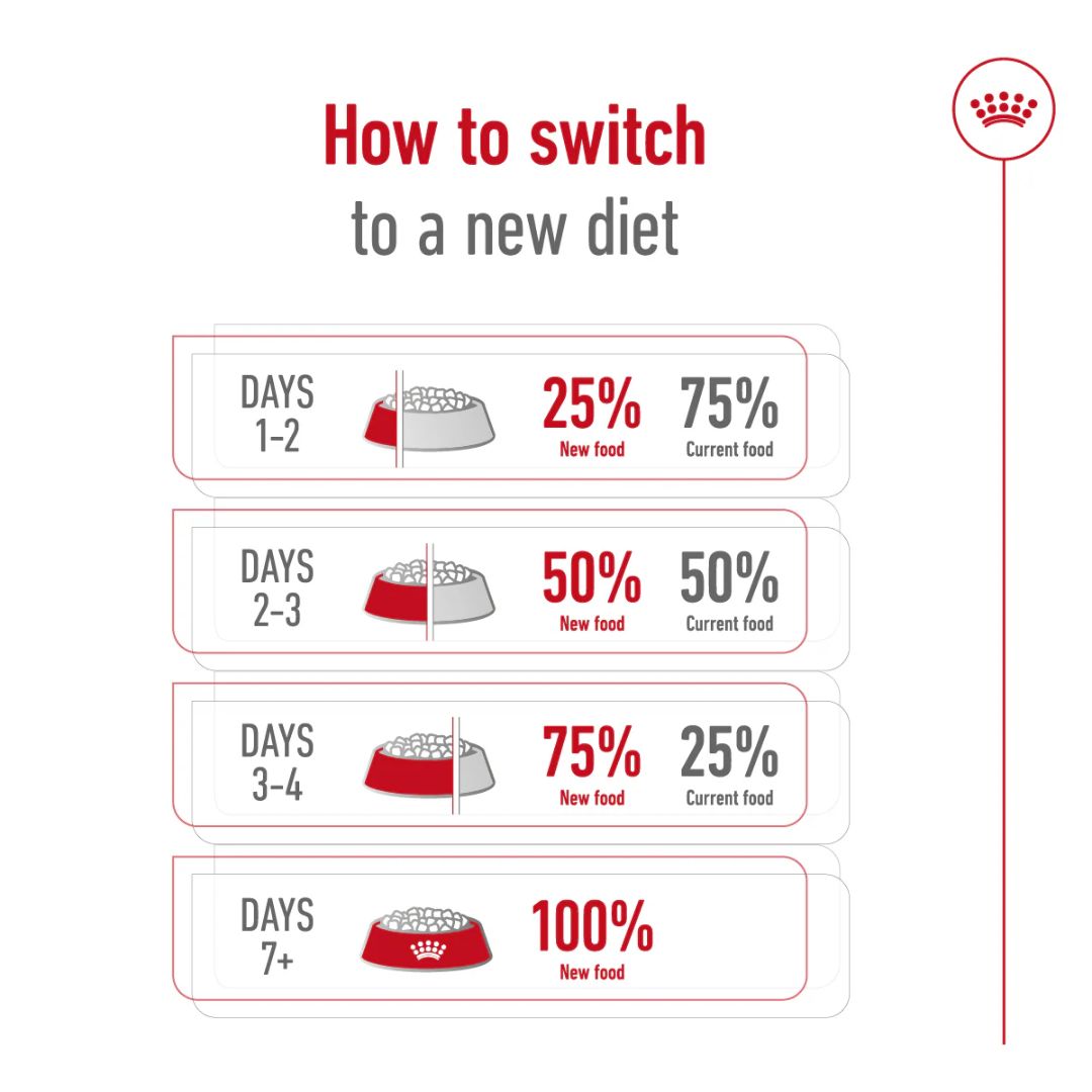 Royal Canin Size Health Mini Indoor Adult Dry Dog Food 1.5kg