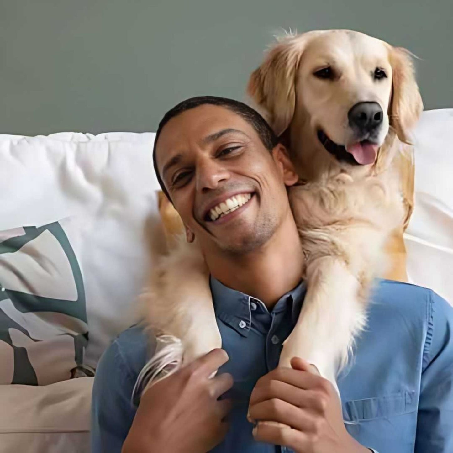 Pro Nutrition Prestige Adult Medium/Maxi Sterilised Dog Dry Food - 3Kg