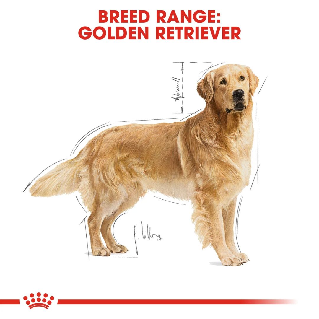 Royal Canin Breed Health Nutrition Golden Retriever Adult Dry Food - 12kg