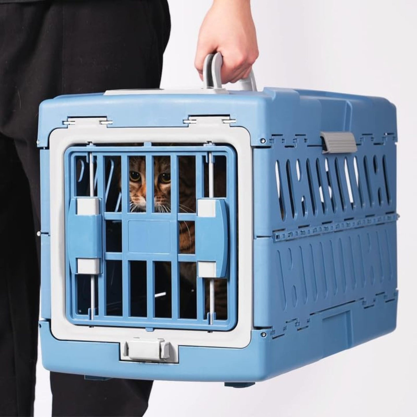 Person holding a blue pet carrier with a cat inside on a white background