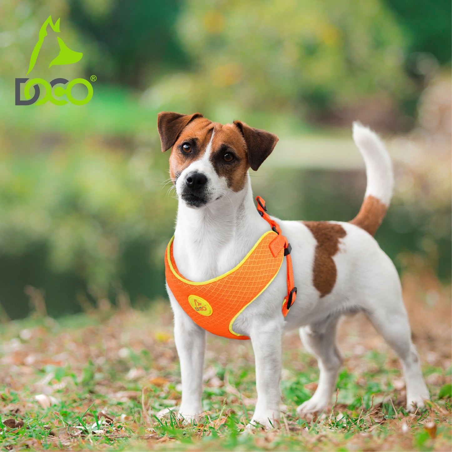 Doco Reflective Chest Plate Mesh Dog - Walking Harness