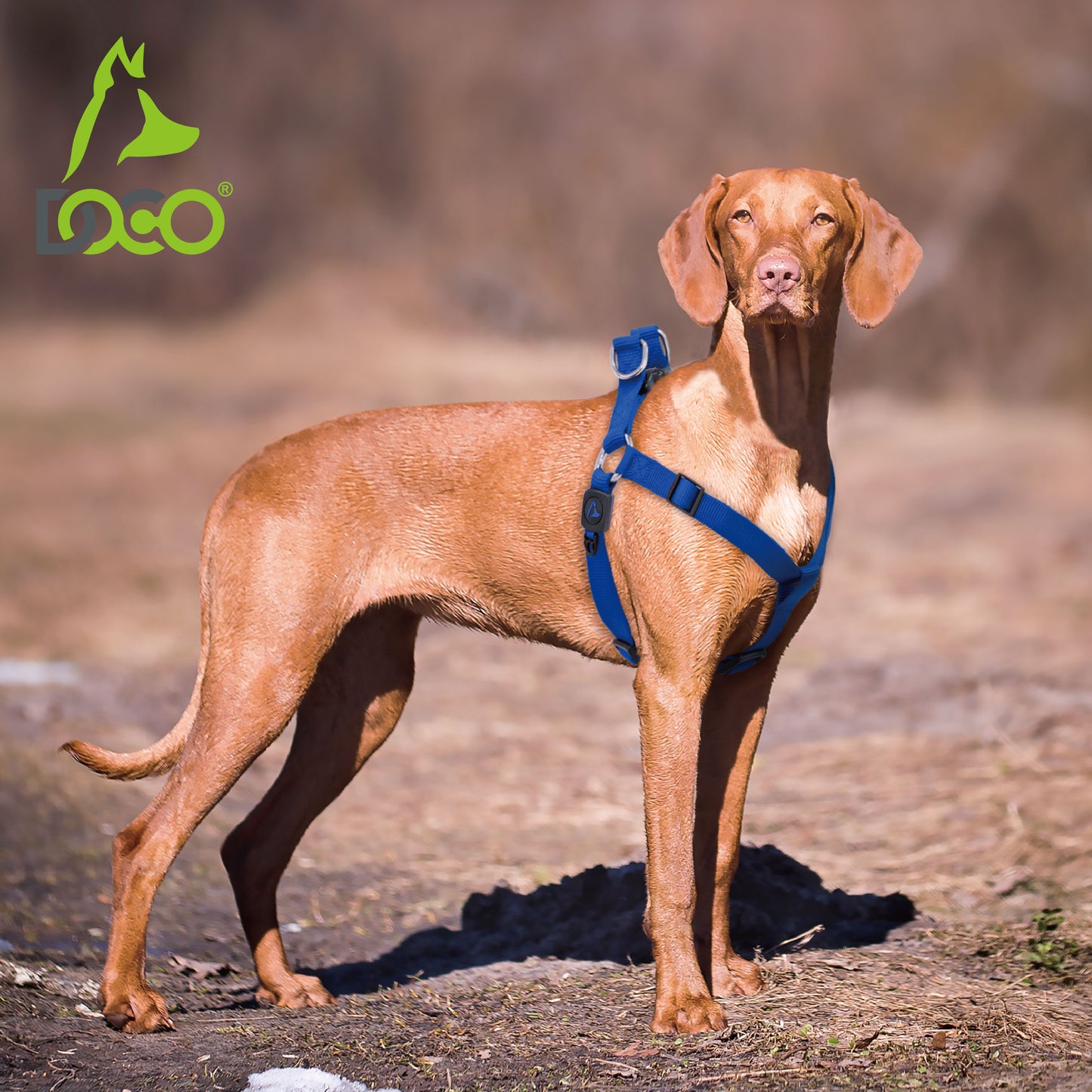 Doco Signature Step-In Dog Harness – Comfortable Harness