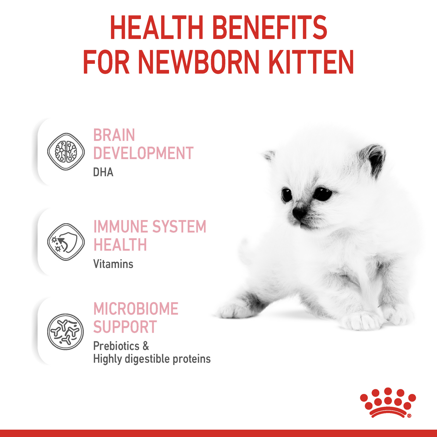 Royal Canin Feline Health Babycat Milk Powder 300g
