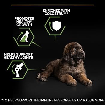 Purina Pro Plan Healthy Start Large Robust Puppy Dry Dog Food With Chicken - 3kg