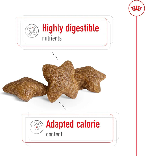 Royal Canin Size Health Mini Adult Dog Dry Food - 800g