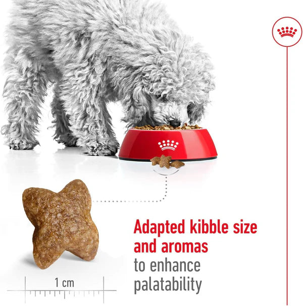 Royal Canin Size Health Mini Adult Dog Dry Food - 800g