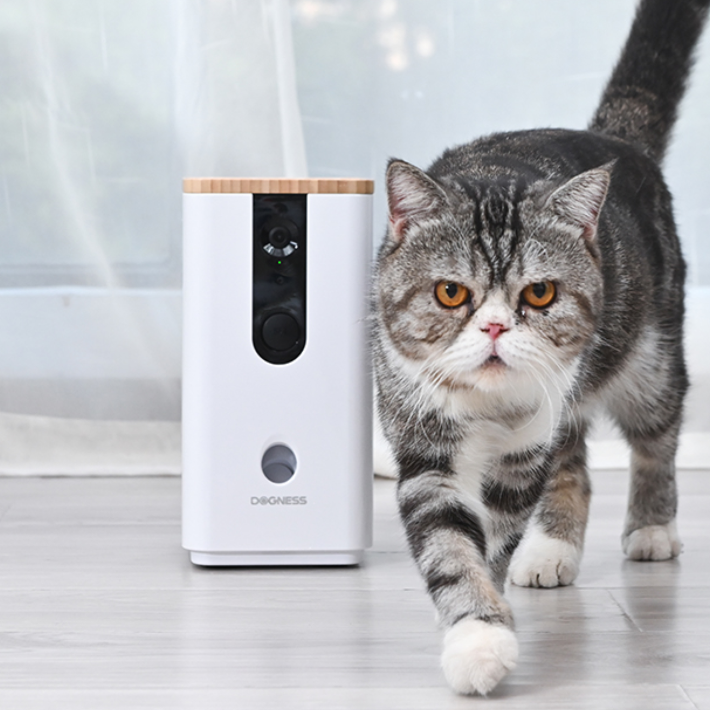 Dogness Smart Pet Treat Dispenser Camera App Control - 0.4L