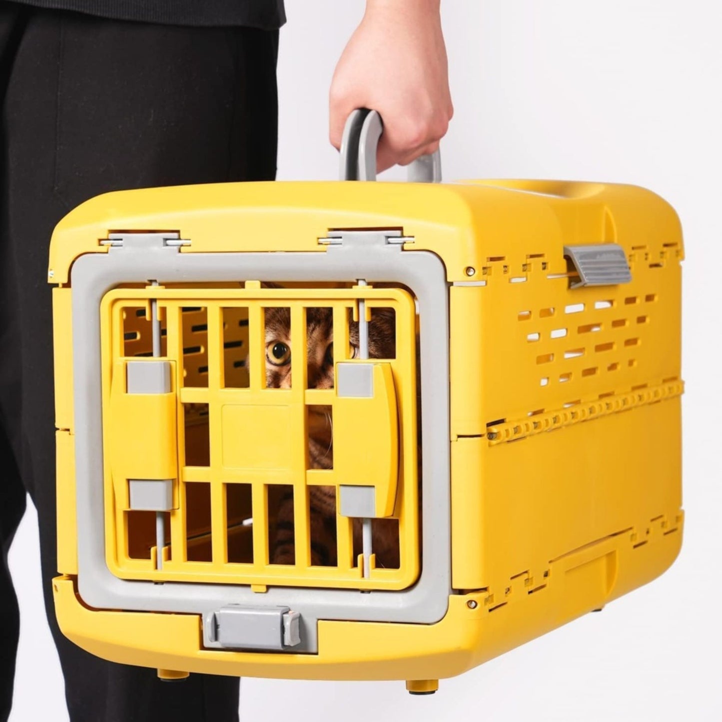 Yellow pet carrier with a cat peeking out, held by a person against a white background