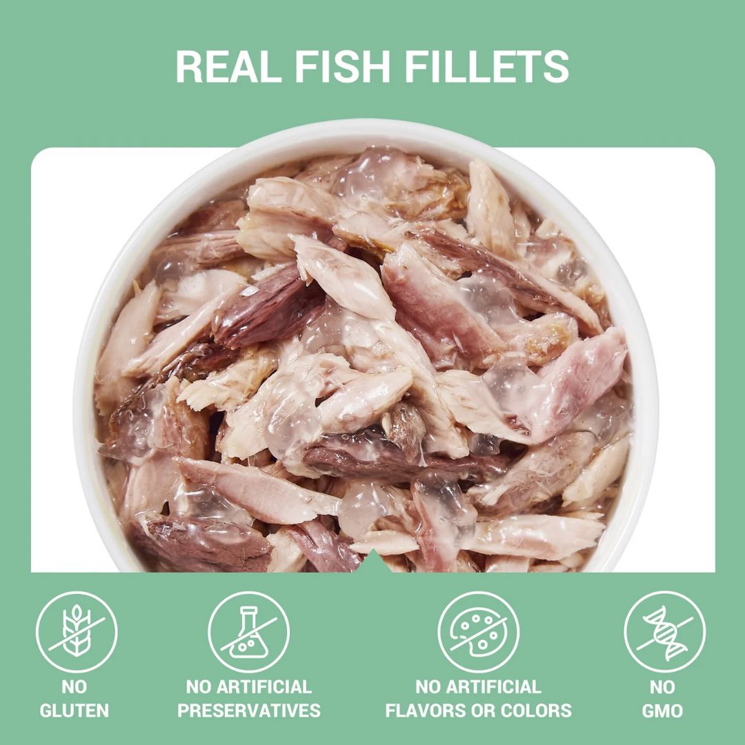 Schesir Complements Cat Wet Food in Jelly Can- Tuna 70g