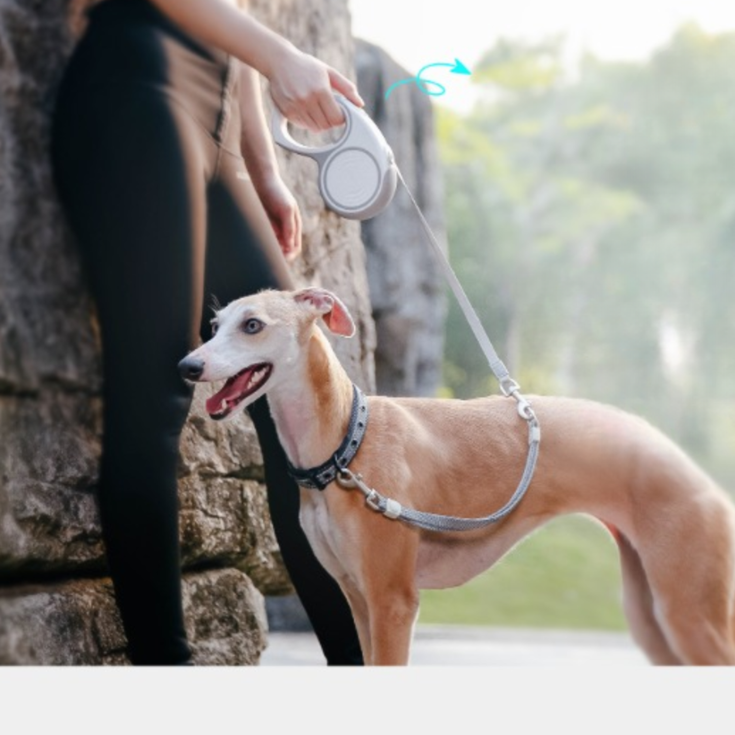 Dogness Retractable Leash Liberty Series  Gray - 5m