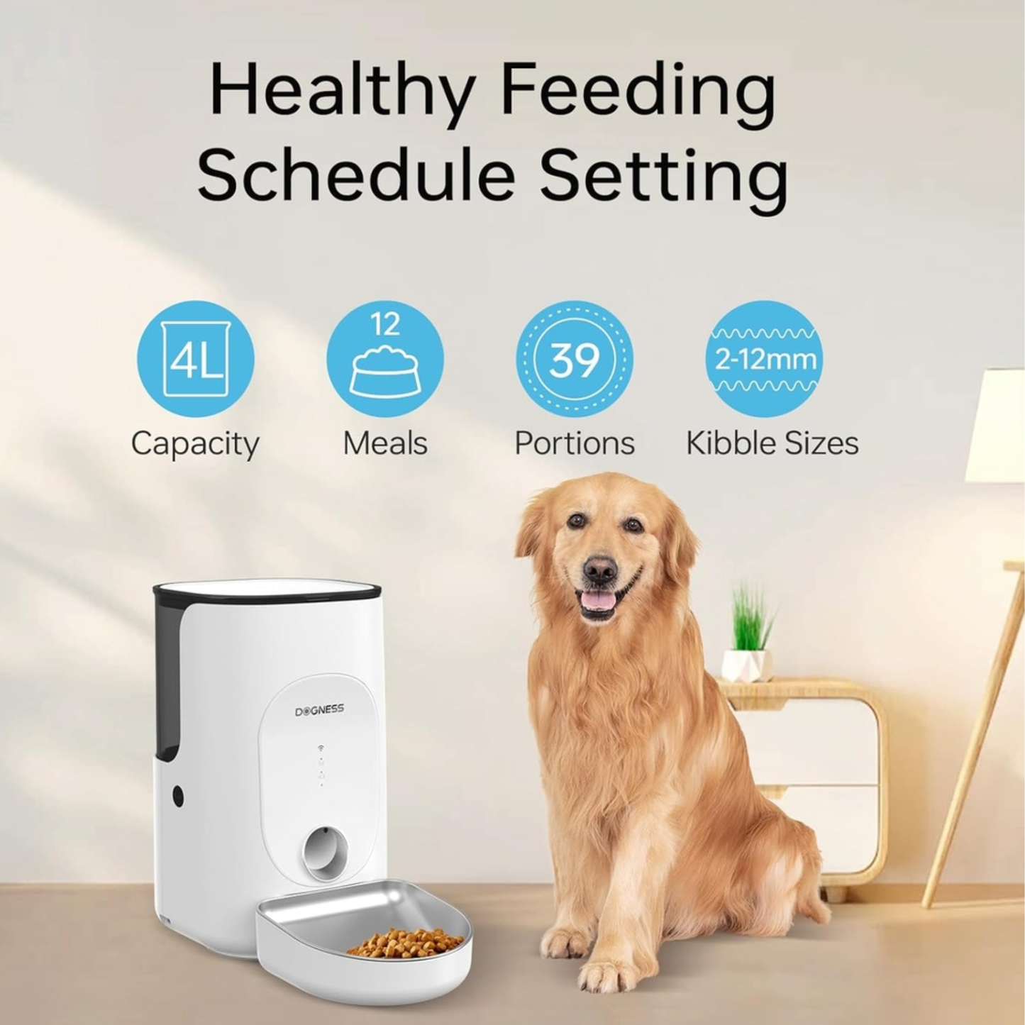 Dog sitting next to a pet feeder with text about healthy feeding schedule setting.