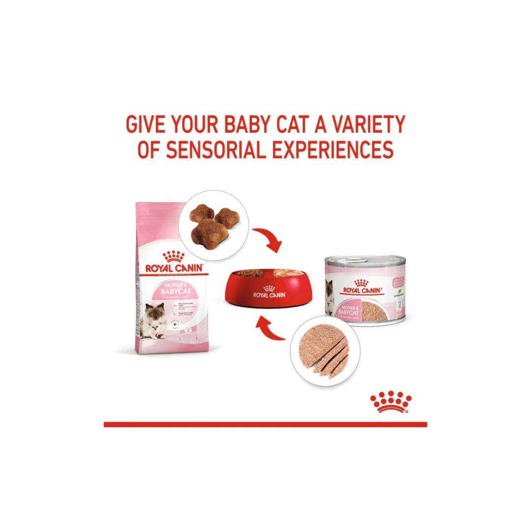 Royal Canin Feline Health Nutrition Mother & Babycat Mousse (WET FOOD )