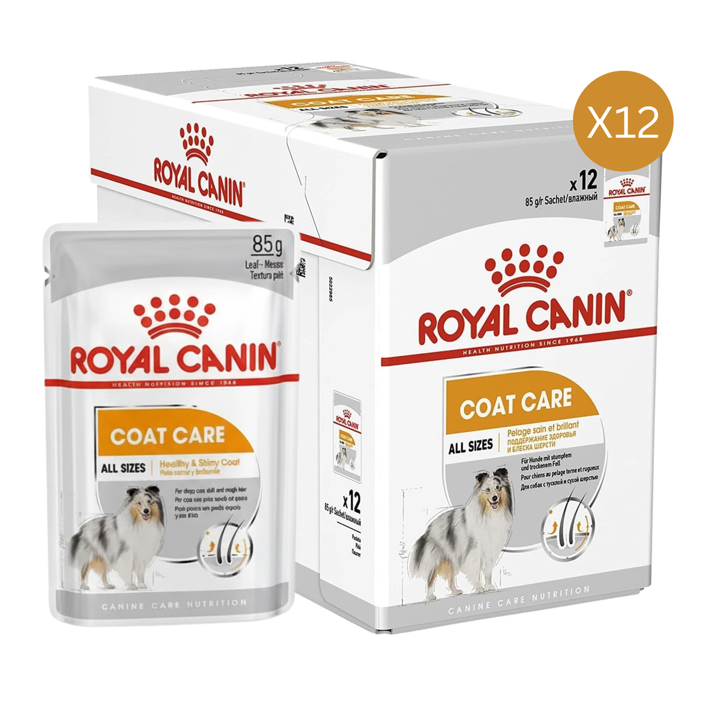 Royal Canin Nutrition Coat Care Dog Wet Food Box - 12x85g
