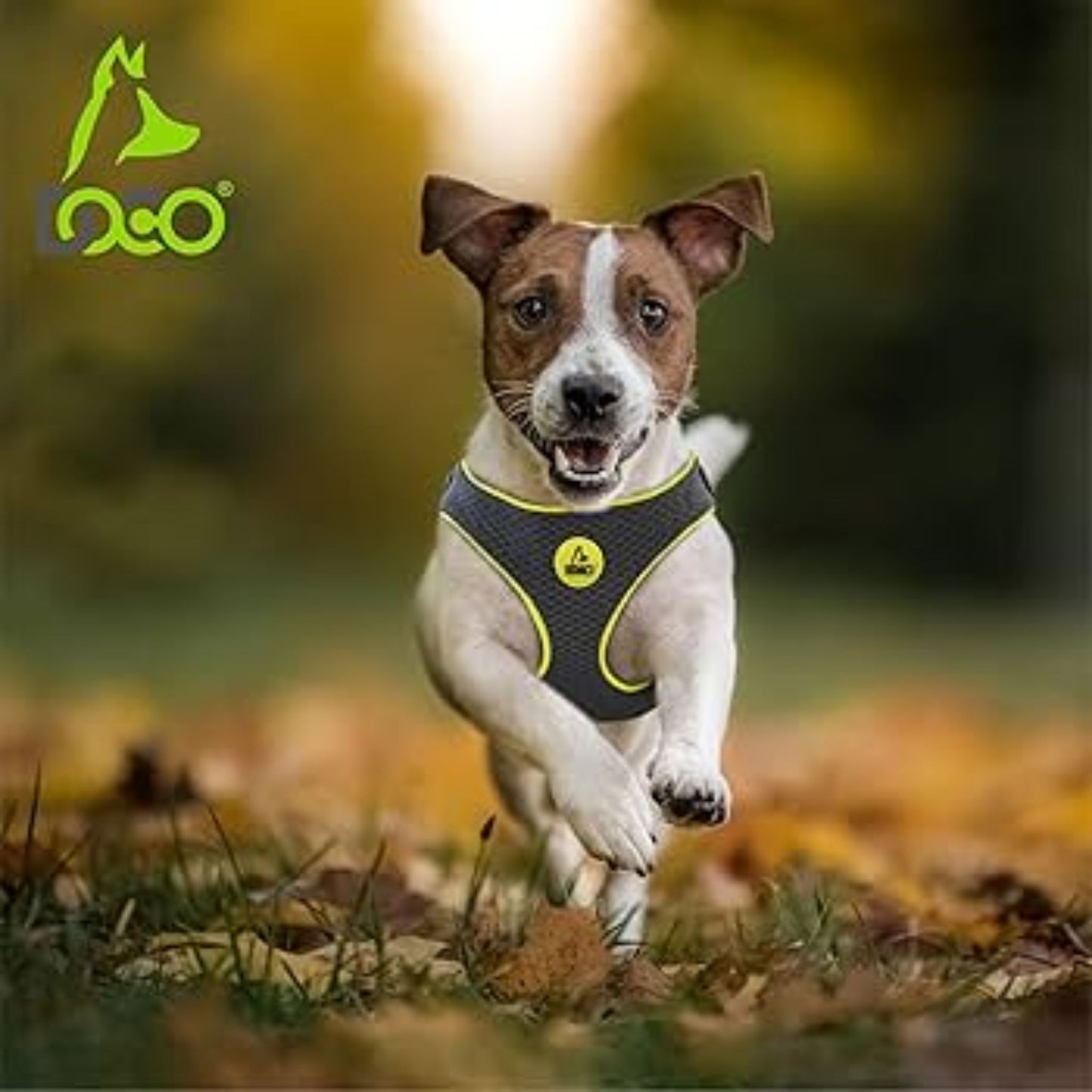 Doco Reflective Chest Plate Mesh Dog Walking Harness