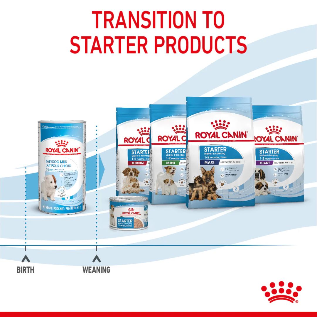 Royal Canin Size Health Puppy Milk Powder 400g