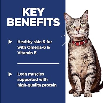 Hills Feline Adult Cat Dry Food Lamb