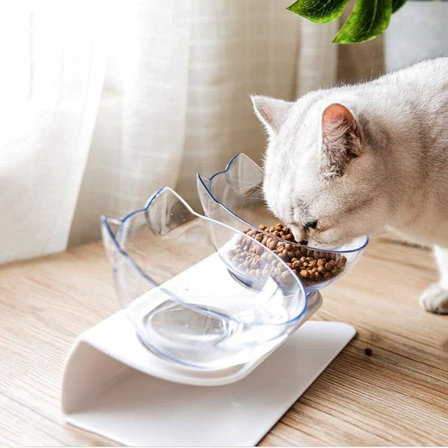 Pado Pet Feeding Bowl - 2 in 1