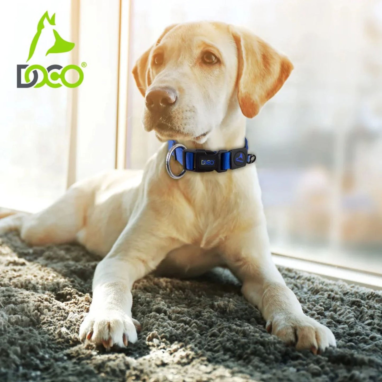 Doco Signature O-Ring Nylon Dog Collar Durable Dog Accessory