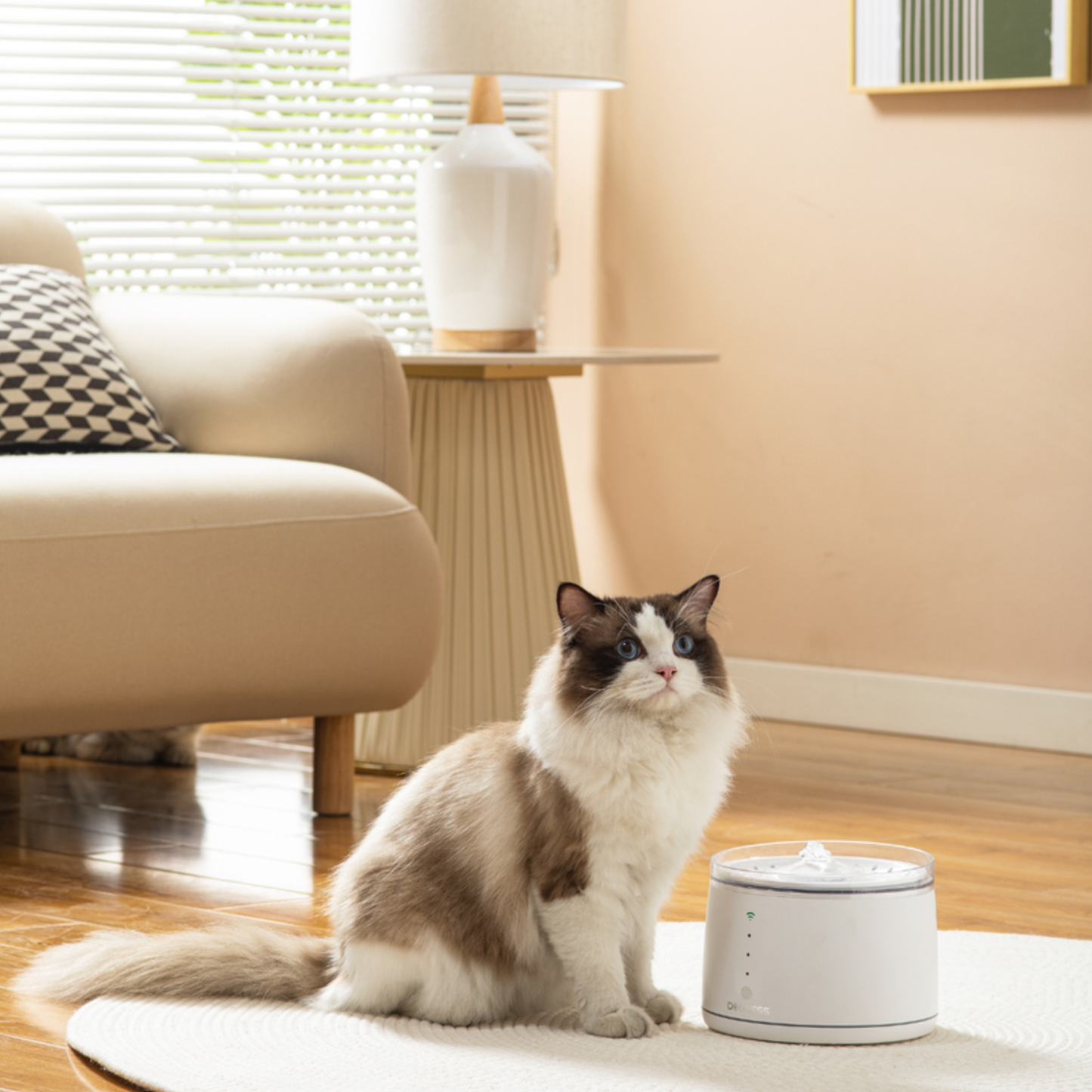 Cat sitting on a rug in a living room with a lamp and couch in the background