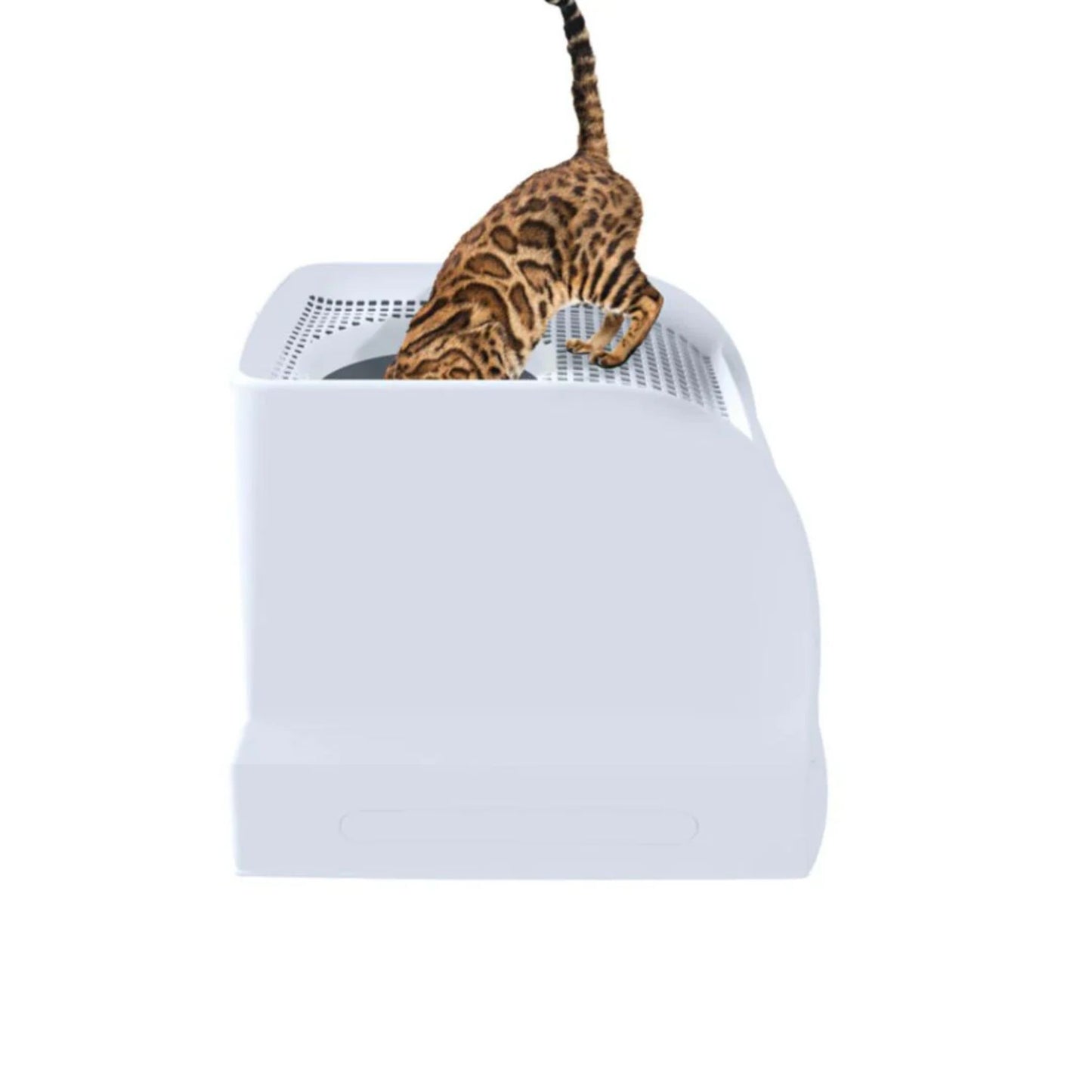 Imac Frida Hooded Cat Toilet - 40×56×43.5 cm