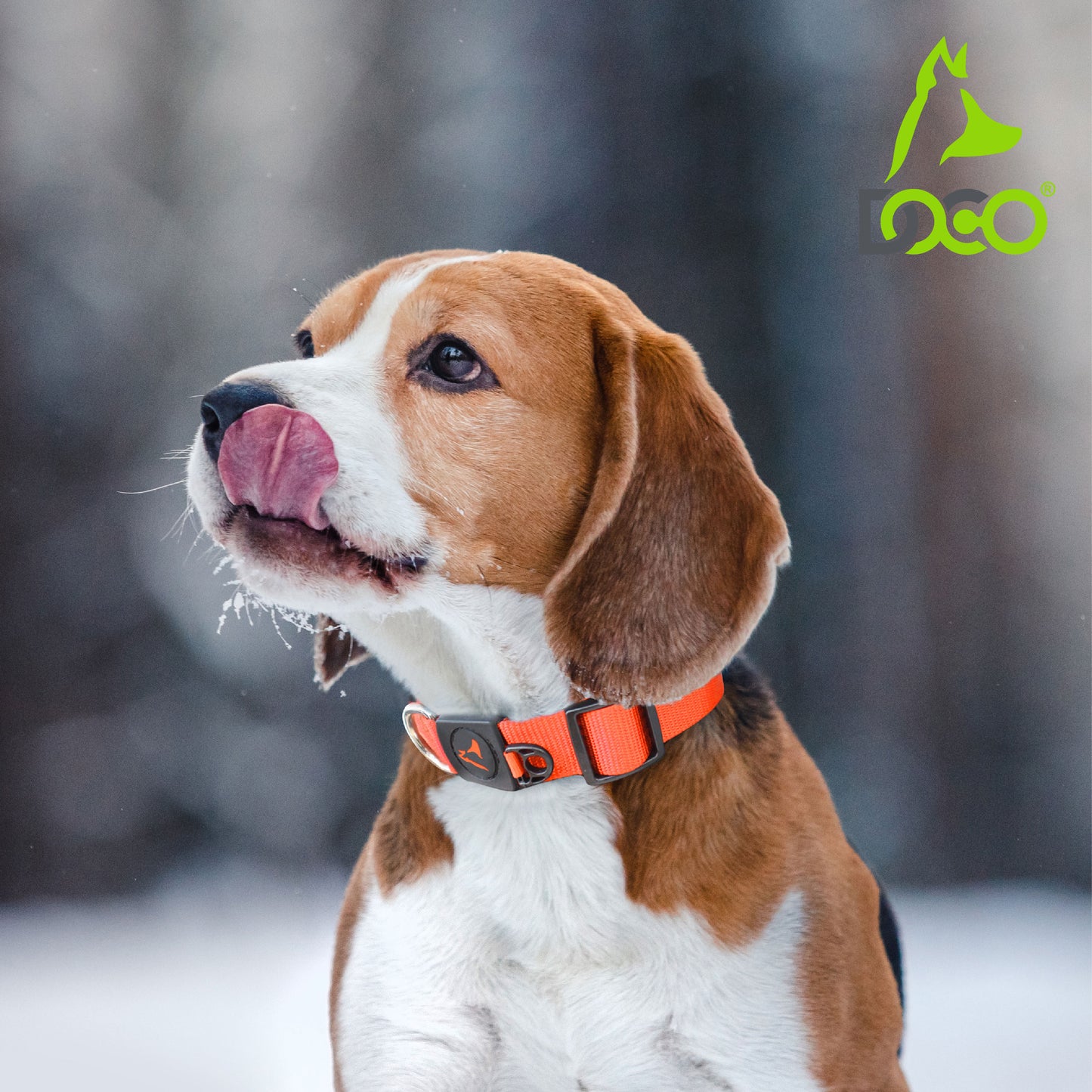 Doco Signature Nylon Adjustable Dog Collar