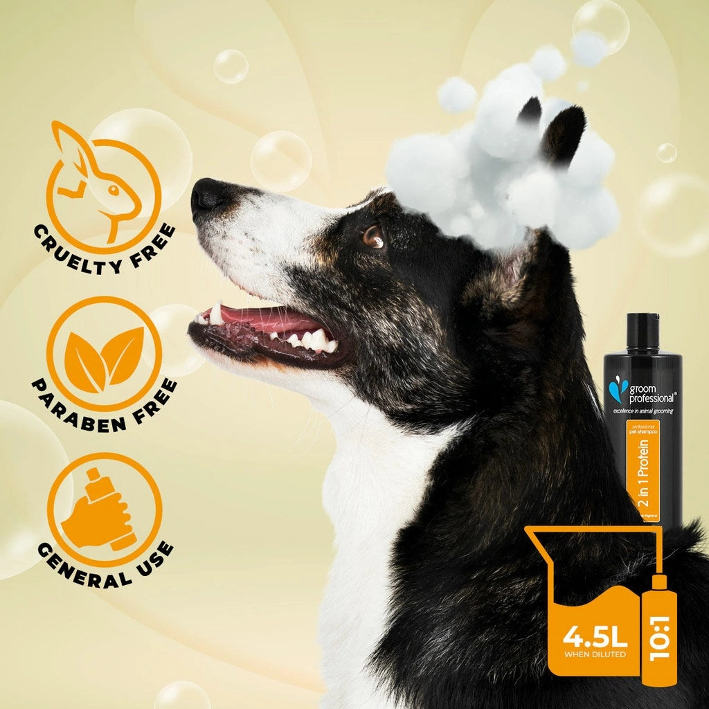 Groom Professional 2 In 1 Protein Shampoo + Conditioner for Dog & Cat