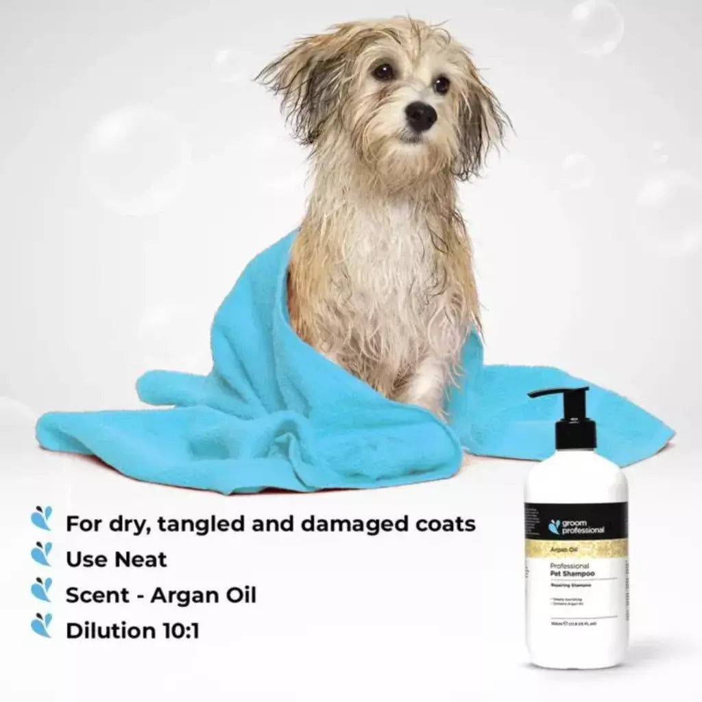 Groom Professional Argan Oil Shampoo for Dog & Cat