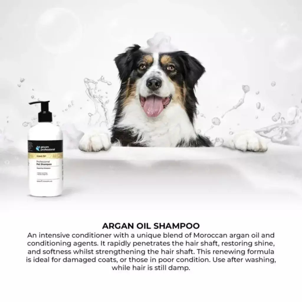 Groom Professional Argan Oil Shampoo for Dog & Cat