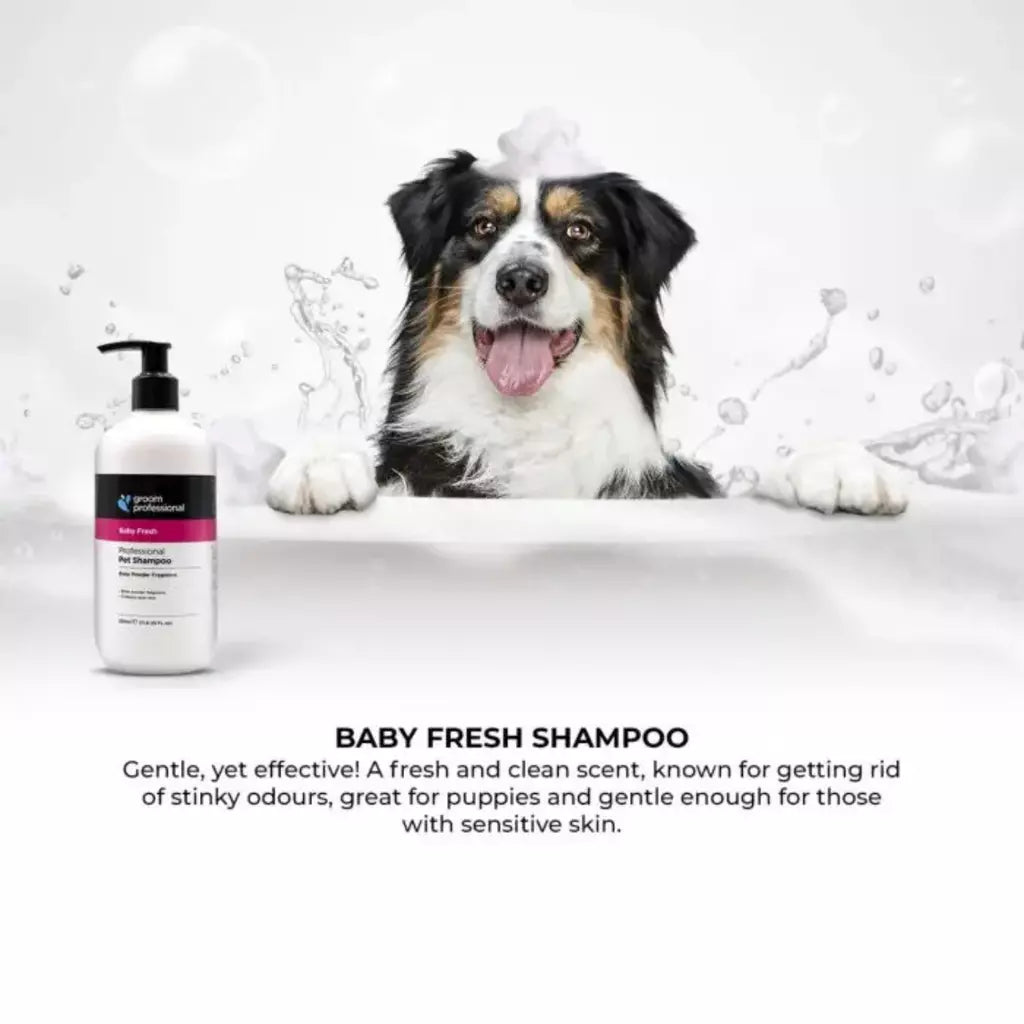 Groom Professional Baby Fresh Shampoo for Dog & Cat