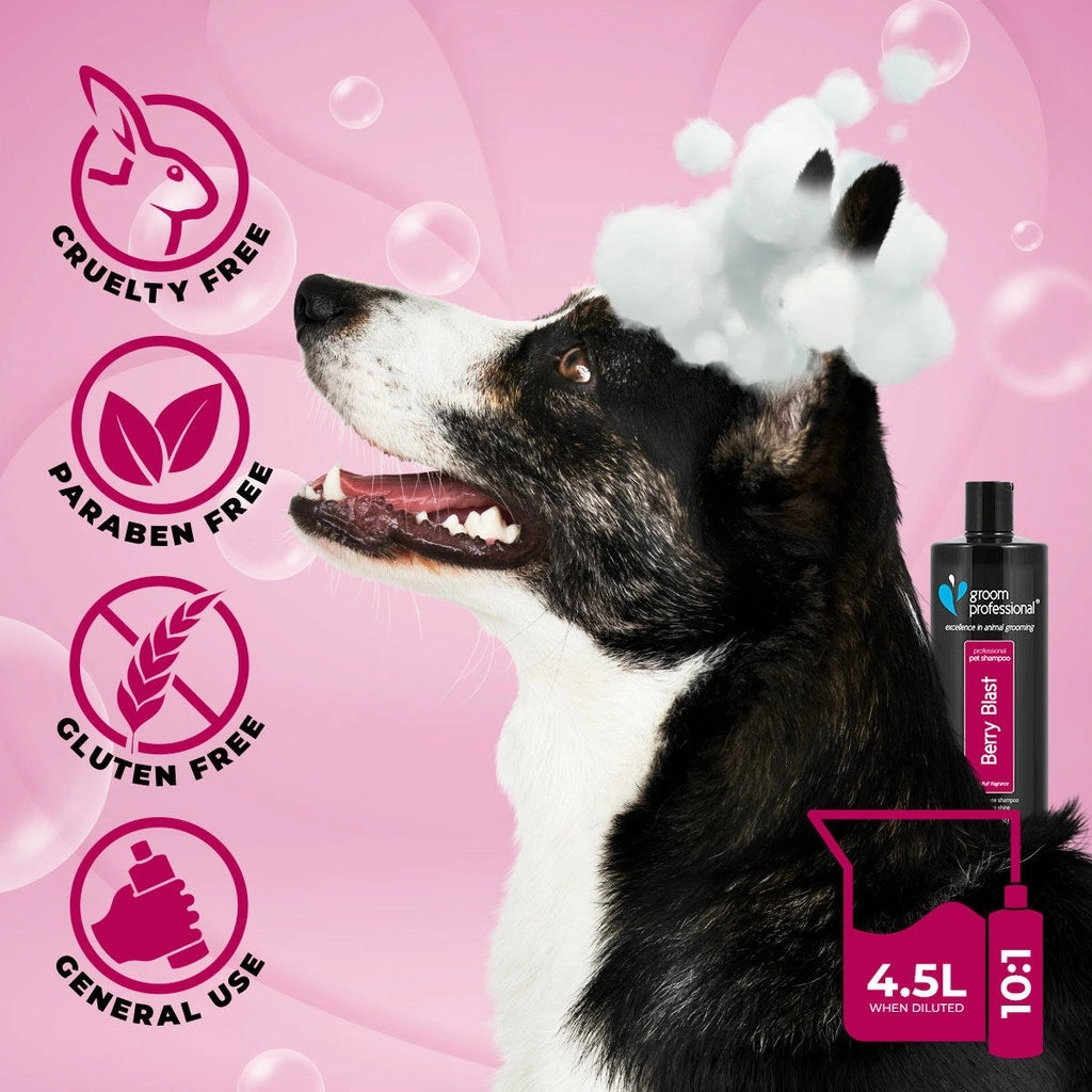 Groom Professional Berry Blast Shampoo for Dog & Cat