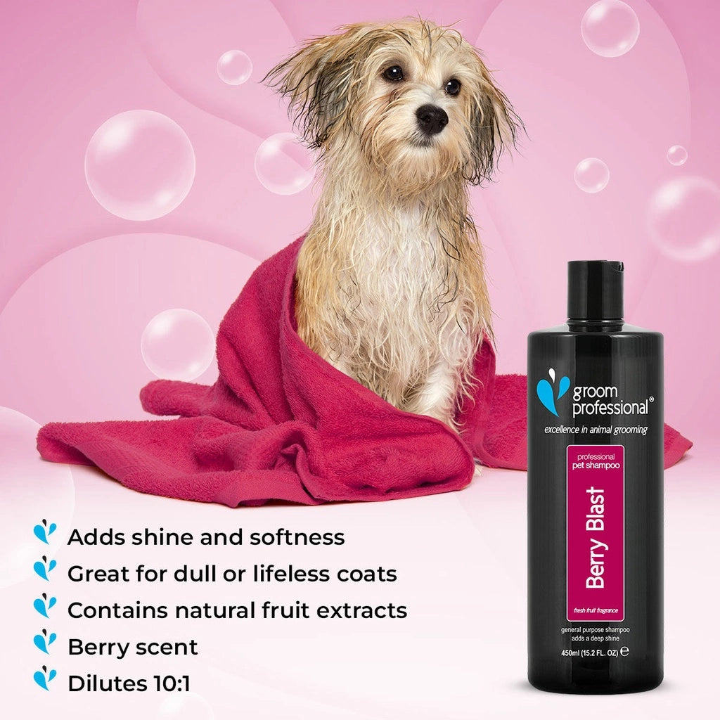 Groom Professional Berry Blast Shampoo for Dog & Cat